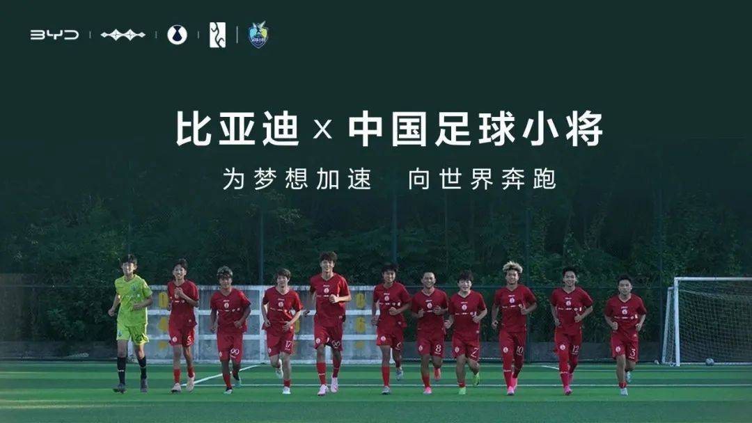 被抵制的是比亚迪，还是中国足球的未来？